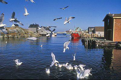 Village of Peggy's Cove