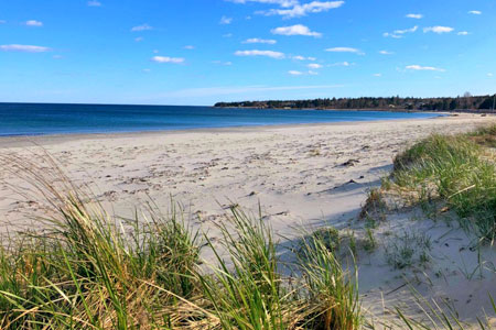 Bayswater Beach