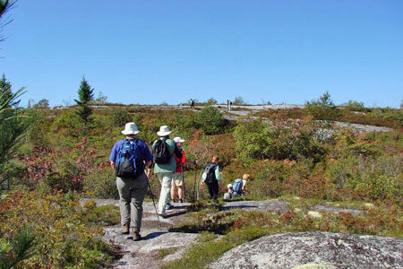 The Bluff Wilderness Trail